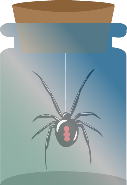 Glas mit schwazer Spinne